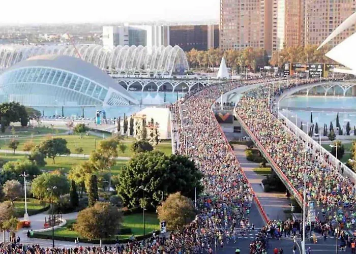 Cozy Center! Valencia